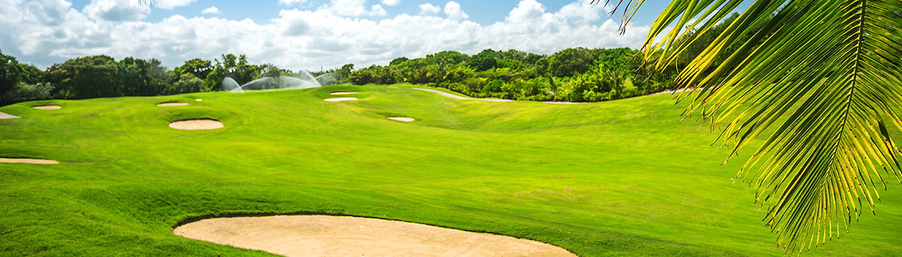 Golf Picks Puntacana 2024, PGA Tour Puntacana Picks 2024, Corales Puntacana Tips