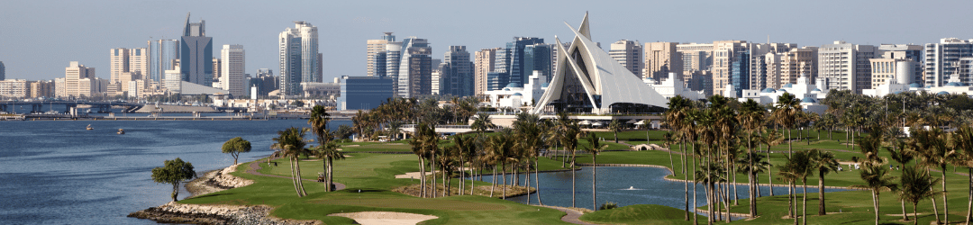 Golf Picks Dubai 2024, DP Tour Dubai Picks 2024, Dubai Invitational tips