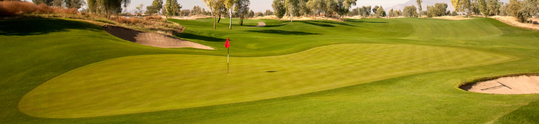 Golf Picks Phoenix Open 2024, PGA Tour Phoenix Open Picks 2024