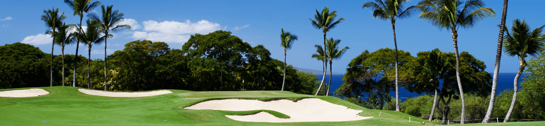 Golf Picks Sony Open 2024, PGA Tour Sony Open Picks, Sony Open Tips 2024