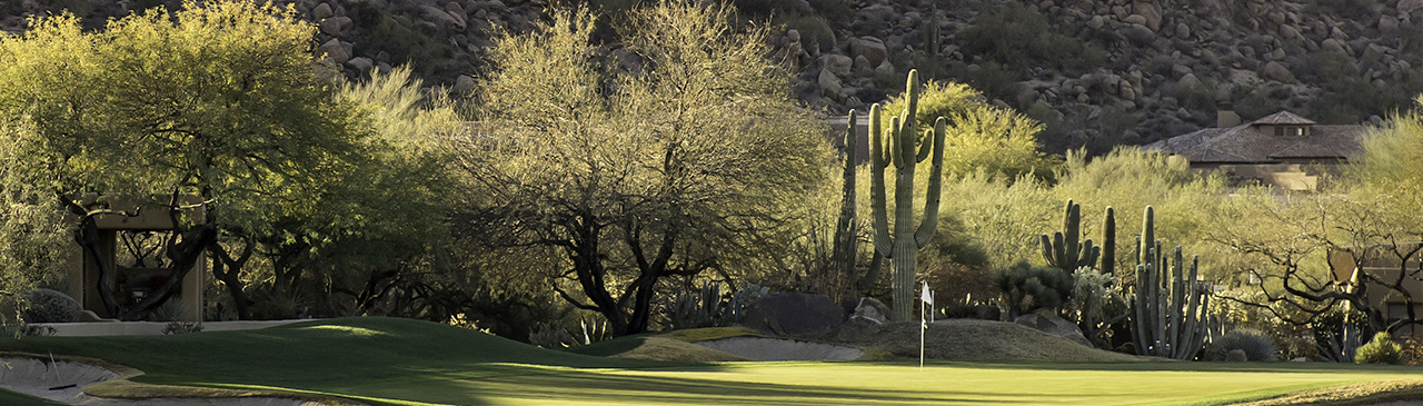 WM Phoenix Open picks, PGA Tour picks, Phoenix Open golf picks, PGA tips